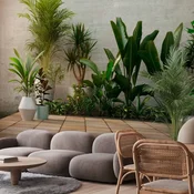 Foto tapeta - Home Garden 250x175