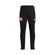 ADIDAS PERFORMANCE Športne hlače Fortuna Düsseldorf rdeča/črna/bela