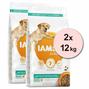 Iams Dog Adult Light in Fat, Chicken 2x12 kg
