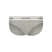 Calvin Klein Underwear Klasične spodnje hlačke LV00QF8520 Siva