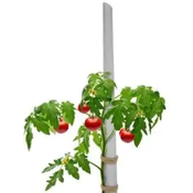 Pritka za paradajz 2m PVC