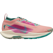 copati Nike Pegasus Trail 5 GORE-TEX