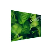 shumee Steklena zaščitna plošča za štedilnik 70x52 Leaf