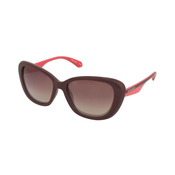 Superdry Naocare za sunce SDS 5022 162