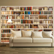 Foto tapeta - Home library 100x70