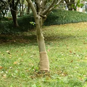 vidaXL Rola iz jute 0,25x50 m 100 % juta 200 g/m2