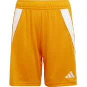 adidas Kratke hlače TIRO24 SHO Y