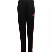 Hlače adidas TIRO TR PNT ESY