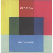 Opossom - Electric Hawaii (LP)