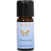 Farfalla Limunovac - Verbena Grasse