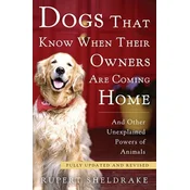 Dogs That Know When Their Owners Are Coming Home