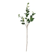 Umetni evkaliptus (višina 110 cm) Eucalyptus – Bloomingville