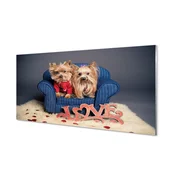 tulup.si Slika na akrilnem steklu Yorkie 140x70 cm 4 obešalnika