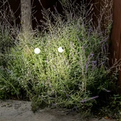 FARO BARCELONA LED-svetilka Cuca, črna, nerjaveče jeklo/steklo, višina 65 cm - Sodobni - črn, opal