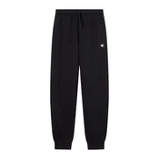 Champion Authentic Athletic Apparel Hlače črna