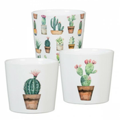 Saksija Scheurich 870/07 Cacti Carla Carlos