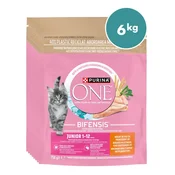 Purina ONE briketi za mlade mačke z okusom piščanca, 8x750g