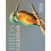 Birds Calendar 2026