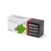 Pravi Lingot® Patuljasti Bazilika - Ekološki