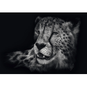 Schmidt - Puzzle Rader: Gepard - 1 000 dijelova