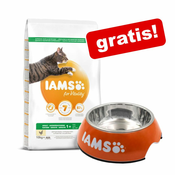 10 kg IAMS Hairball Adult piščanec