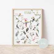 Its a moms world Edukativni poster za decu bez rama Insekti A5