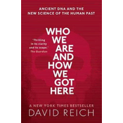 Who We Are and How We Got Here