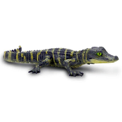 Safari Aligator mladič