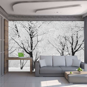 Foto tapeta - Trees - winter landscape 400x309