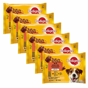 Pedigree Mixed izbor hran v želatini 6x(4x100 g)