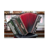 Diatonična harmonika 3/III 37+3 unikat