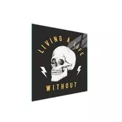 shumee STEKLENA ZAŠČITNA PLOŠČA ZA ŠTEDILNIK 50x52 SKULL