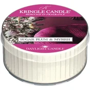 Kringle Candle Sugar Plum & Myrrh Daylight dišeča sveča 42 g
