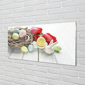 tulup.si Slika na akrilnem steklu Jajca tulipani 125x50 cm 4 obešalnika