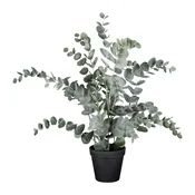 Veštačka Biljka 53cm Eucalypthus Ii