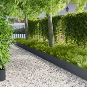 vidaXL Robovi trave 20 kos 100 x 18 cm Jeklo Antracit
