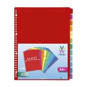 Pregrada, plastika, A4 Maxi, 12 x zavihki, VIQUEL
