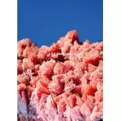 After Nature | Ulrike Crespo Photography Prize 2025