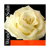 Struna A Wondertone Solo violina medium Pirastro