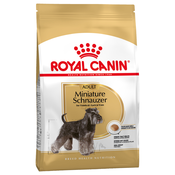 Ekonomično pakiranje: Royal Canin Breed - Miniature Schnauzer Adult (2 x 3kg)