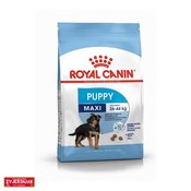 Royal Canin SHN MAXI PUPPY, 15KG