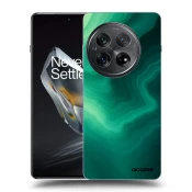 Silikonski črni ovitek za OnePlus 12 5G - Malachite