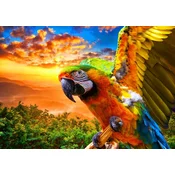 BlueBird - Puzzle Parrot 1000 Bluebird - 1 000 kosov