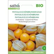 Andske jagode Physalis Schönbrunner Gold