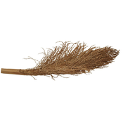 Lucky Reptile Palm Torch 30-40 cm