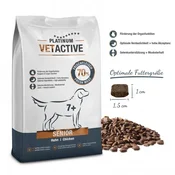 Platinum VetAktive Senior 5 kg