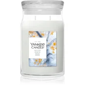 Yankee Candle Silver Birch dišeča sveča 567 g