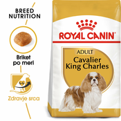 SHB CAVALIER KING CHARLES 3 kg