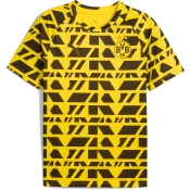 PUMA Borussia Dortmund Pre-match Jersey Men, Sport, Faster Yellow/Black, S