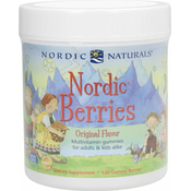Nordic Berries Multivitamin